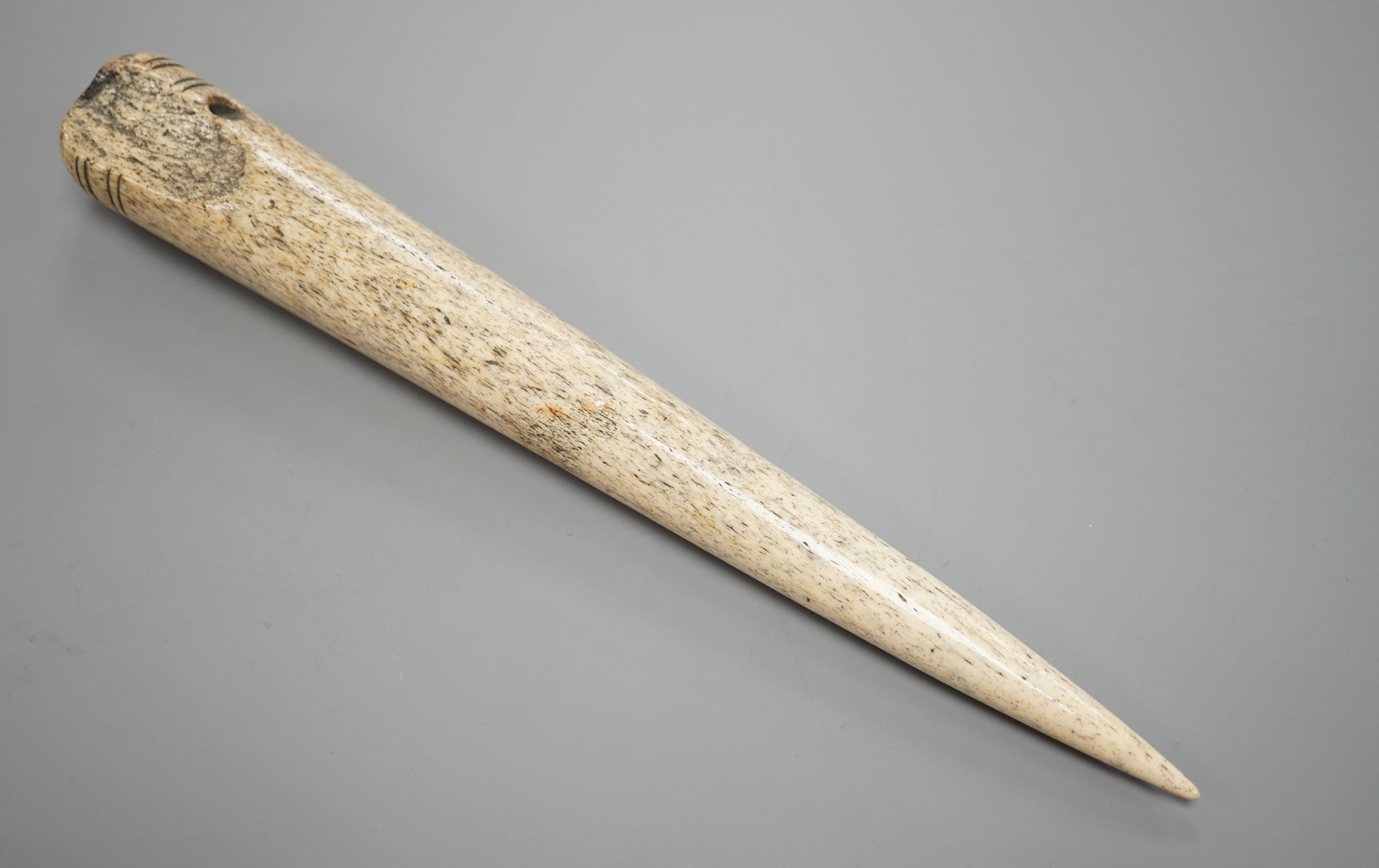 A 19th century Whalebone fid, 31 cms long.